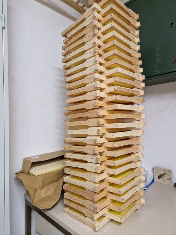 Saisonvorbereitung 01