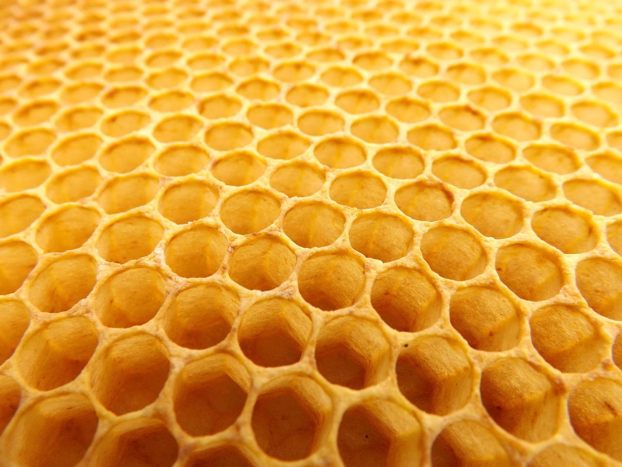 honeycomb 530987 1280